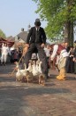 Boerenmert